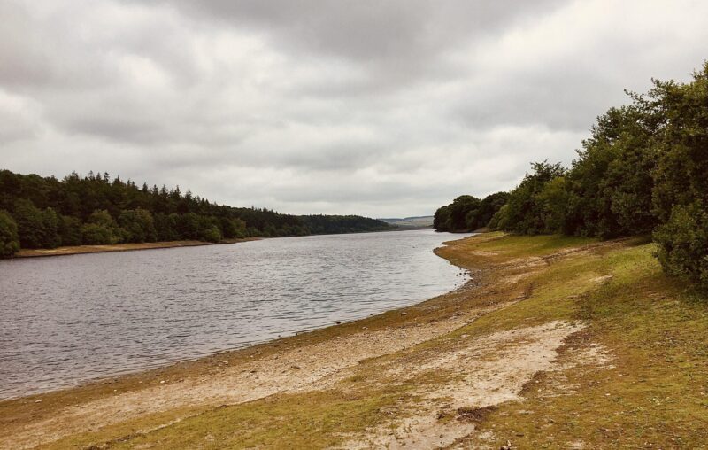 Reservoir in the constituency